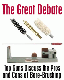 brushdebate2.gif