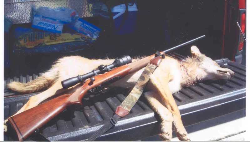 223yote4-1.jpg