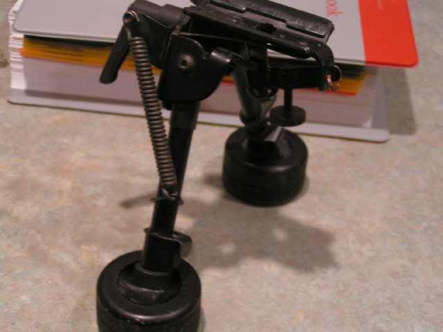 Pod-Paws-01.jpg