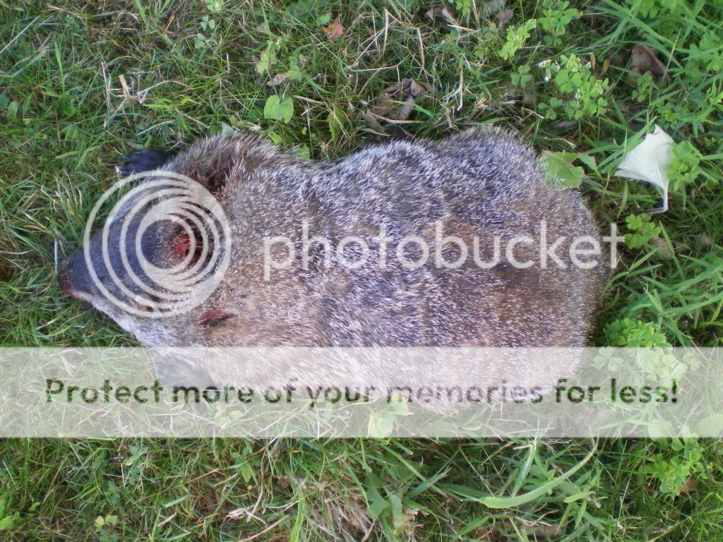 IMGP6019.jpg