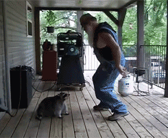 5jRC17t.gif