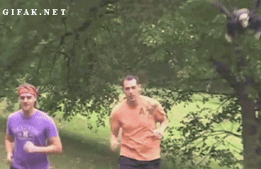 tumblr_mv5xb13Umk1s2yegdo1_400.gif