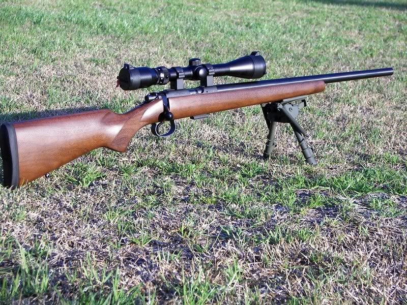CZ452Varmint22LR-b.jpg