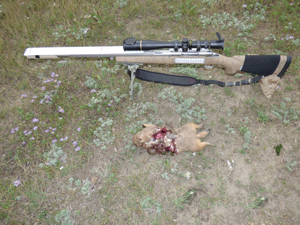 vcPD0Rv.jpg