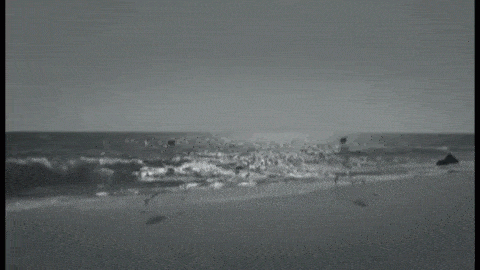 tumblr_nvm5mmnPyw1ud5r95o2_500.gif