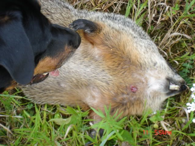 DSC00924.jpg