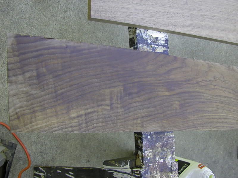 DSCN0805.jpg