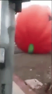 tumblr_nx6ogk78Nw1rc7zl1o4_250.gif