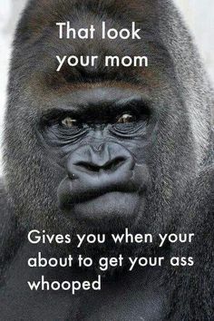 1fa6af5f6fd0092c7486fac81a5acc16.jpg