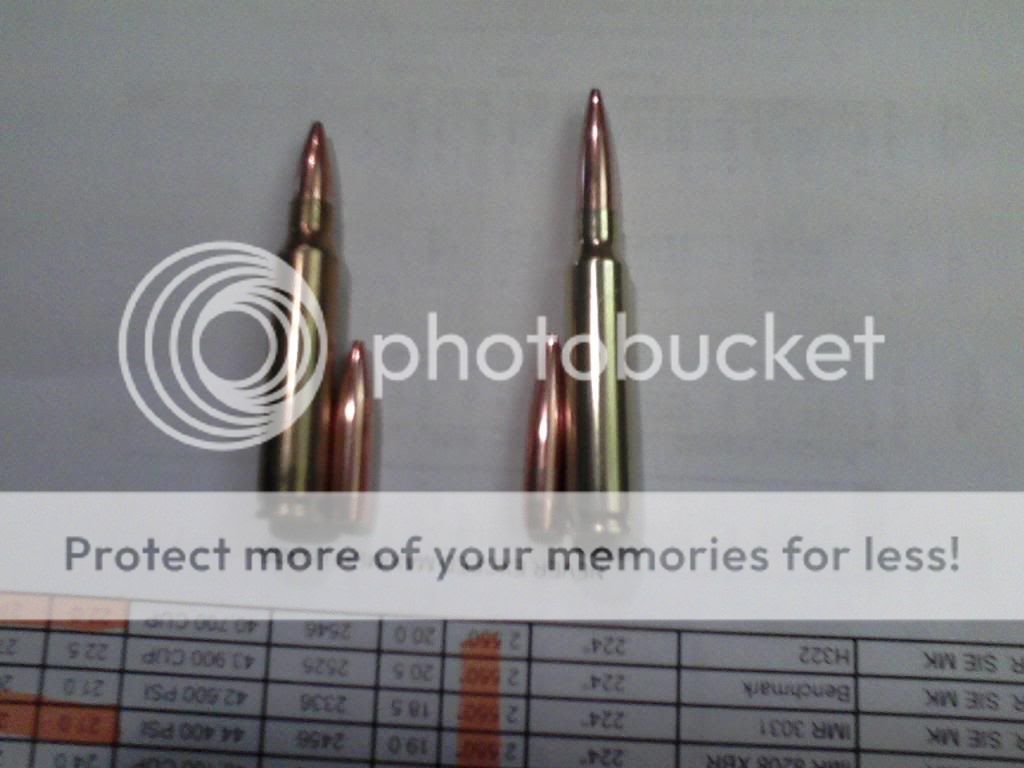 ammo_zpscda212ea.jpg