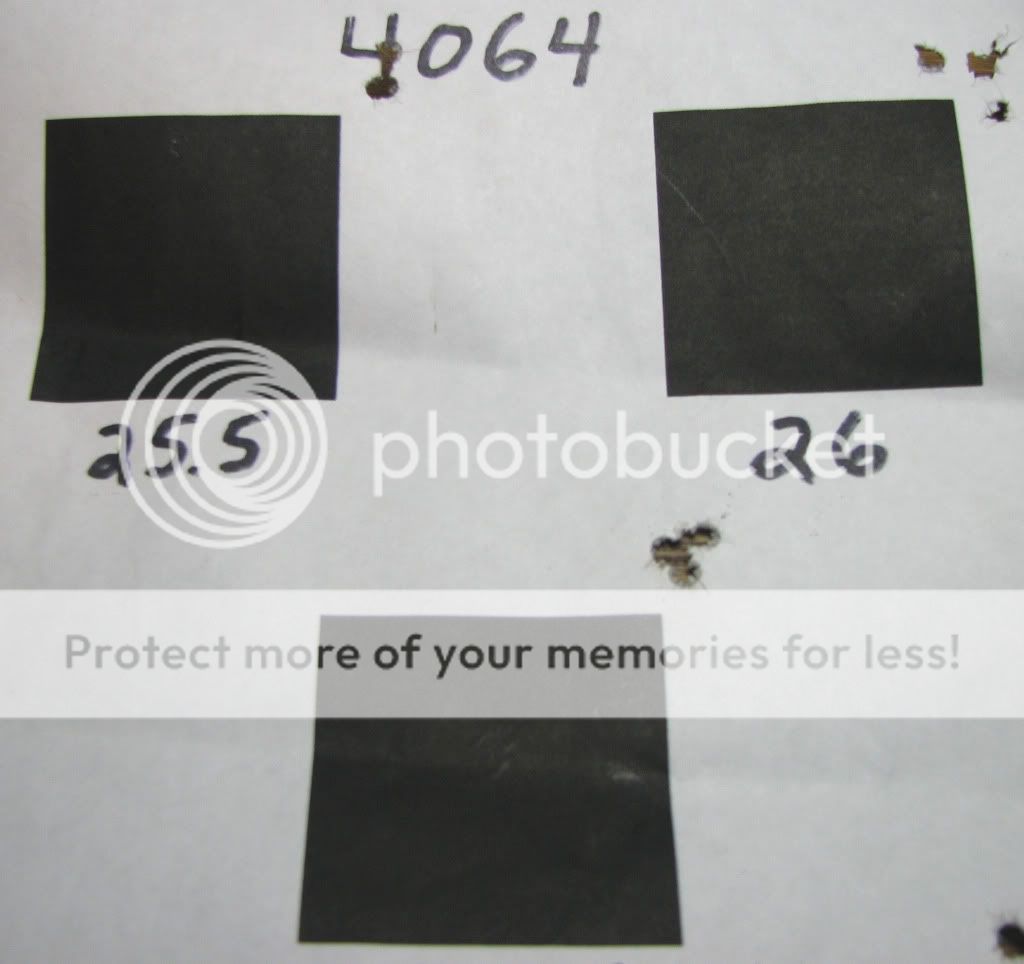 204Target4064.jpg
