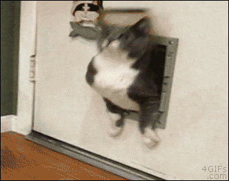 tumblr_nldymzDt9C1tlb56zo1_400.gif