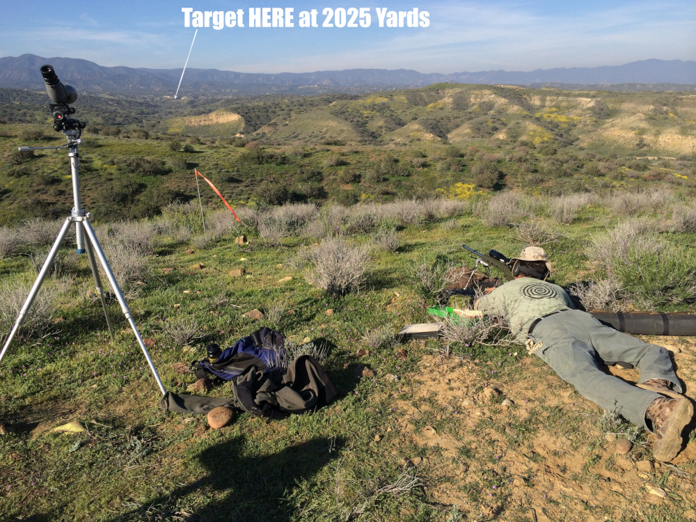 yard20251.jpg