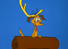 200_s.gif