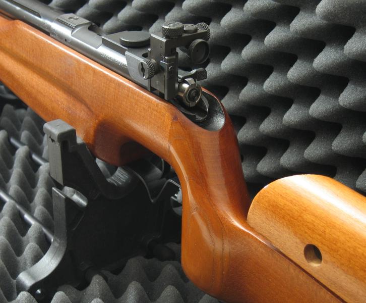456_rearsight_left_IMG_1746_cut_800.jpg