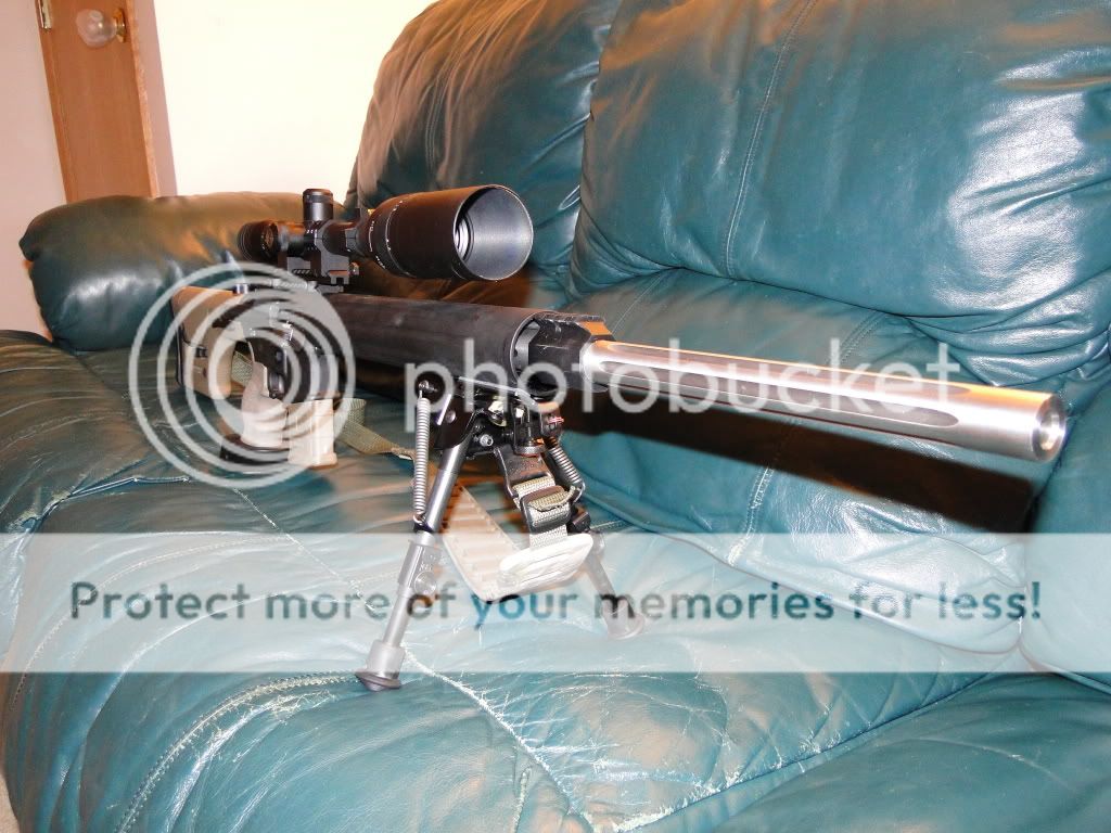dpmsa2.jpg