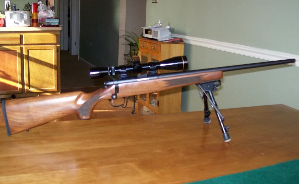 Guns004.jpg