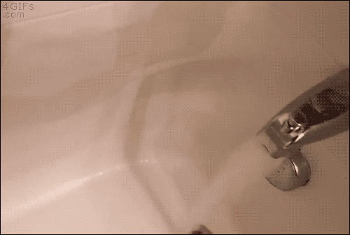 tumblr_no0nhqTxb71tlb56zo1_500.gif