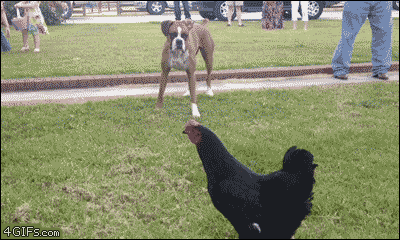 tumblr_oburpzB2em1tlb56zo1_400.gif