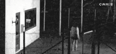 tumblr_n8efpuV8sP1qep5zro1_500.gif