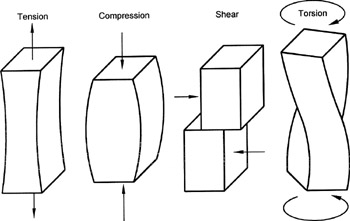 fig12-1.jpg