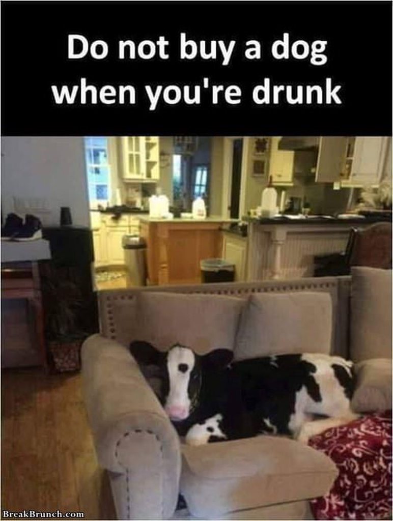 7wdx4c5h.jpg