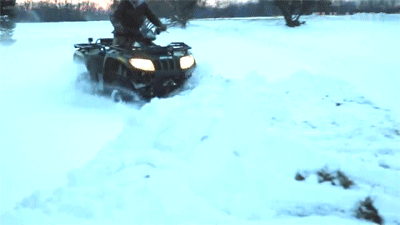 tumblr_p1dqogDgNy1wvniv1o1_400.gif