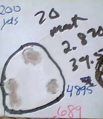 2011-05-11-09013.jpg