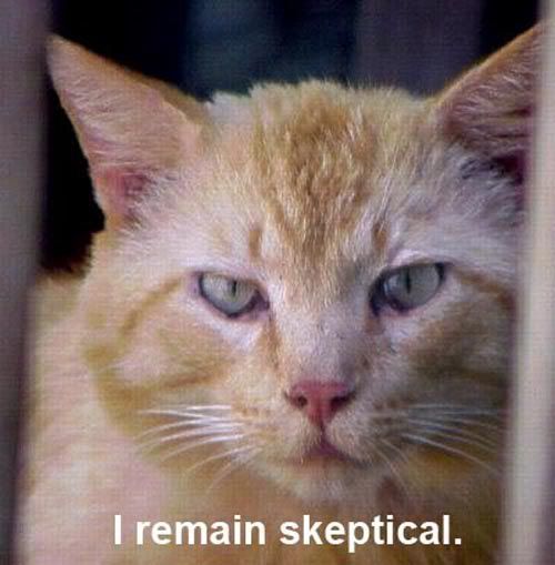Iremainskeptical.jpg