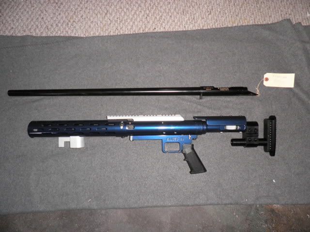 305.jpg