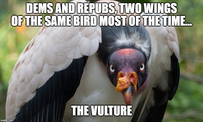 3gexbu.jpg
