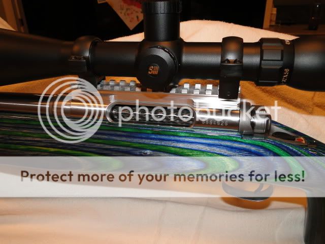 Disney2010592.jpg