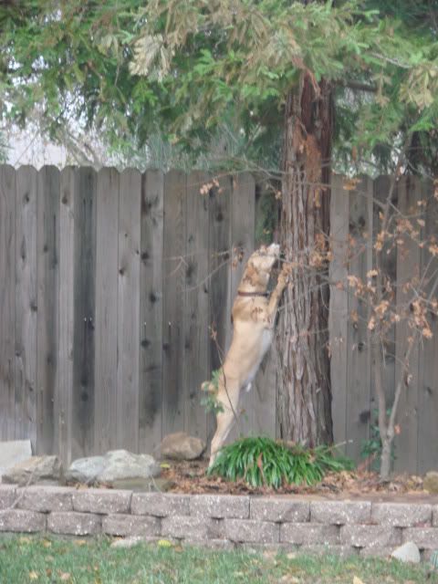 DSC01038.jpg
