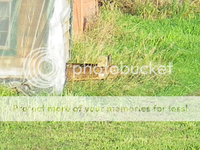 IMGP0167.jpg
