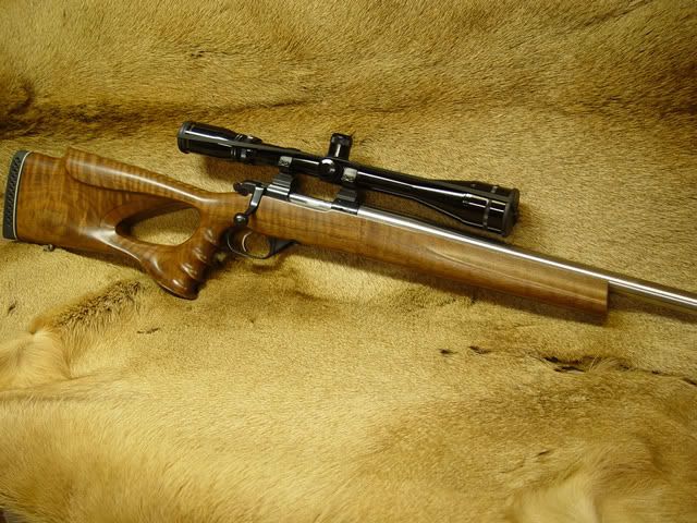 223.jpg