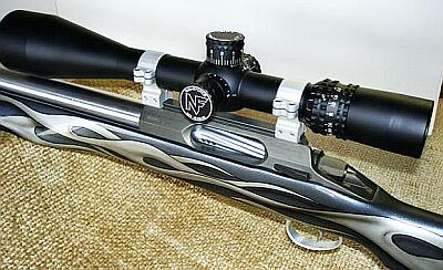 Shehane_Viper06WEBB.jpg