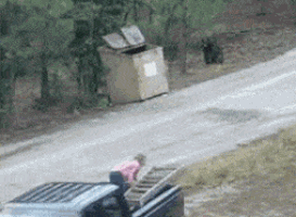 tumblr_py5ykw7ZG21ukxxj7o1_400.gif