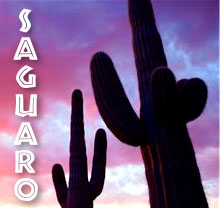 Saguaro Benchrest Action Marsh