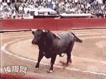 tumblr_ozu5tw8Mtv1s2jikwo1_250.gif