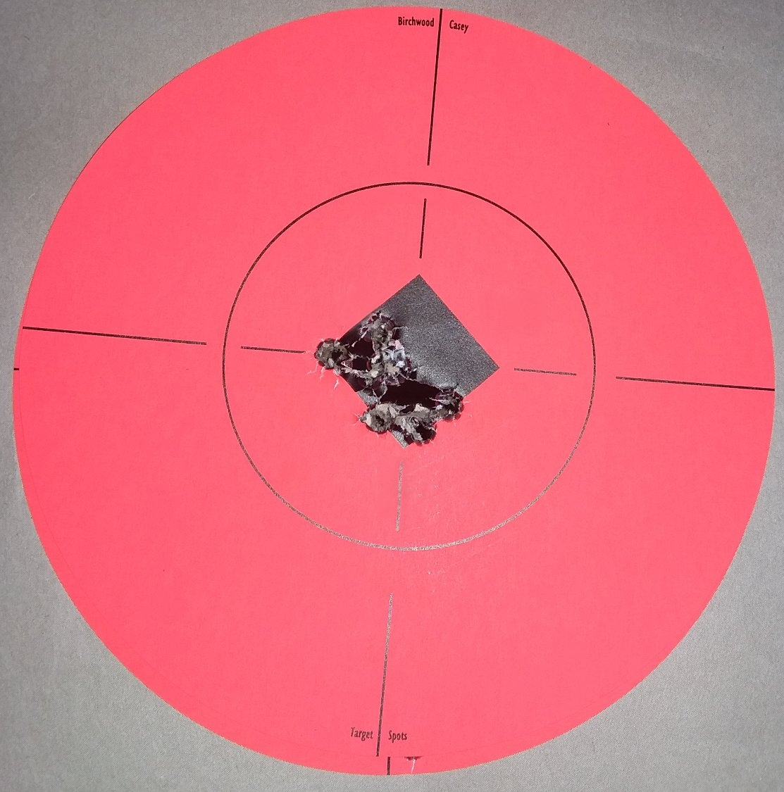 Target_6_5_at_100_Yards.jpg