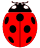 schoolofbugs.com