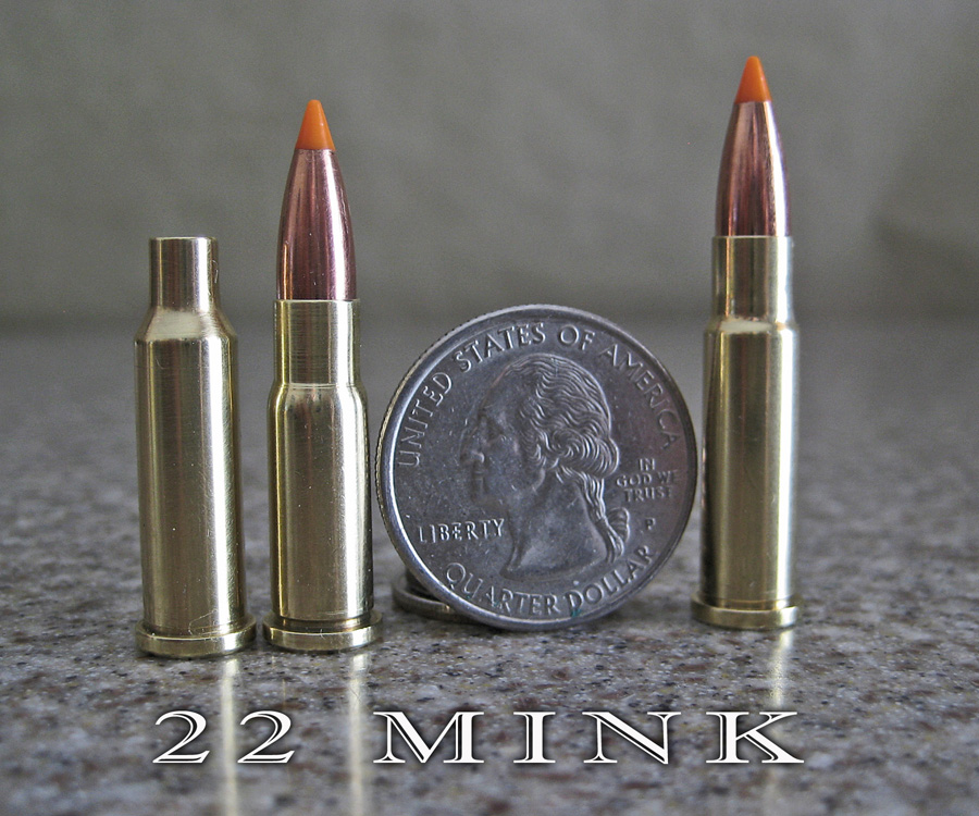 22mink1.jpg