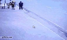 tumblr_mmsvq8HrCI1qeu06fo1_250.gif