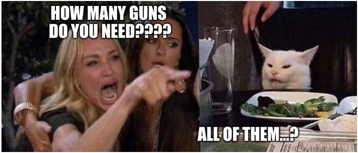 how-many-guns-do-you-need-meme.jpg