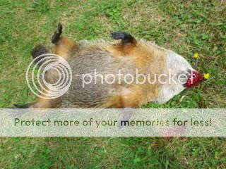 IMGP0069.jpg