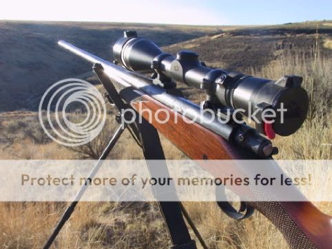 myrifle.jpg