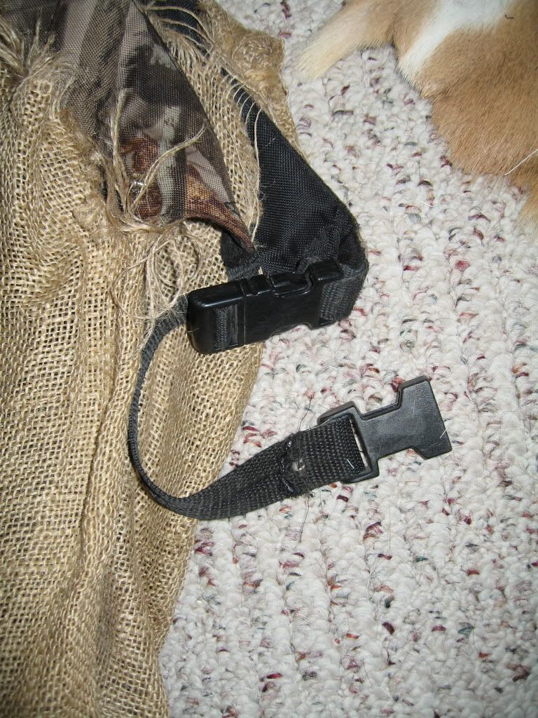 IMG_0926.jpg