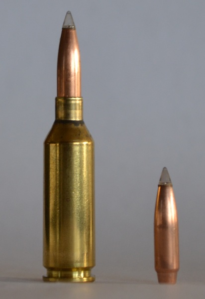20 Grendel with BlackHole PolyTip RBT.jpg
