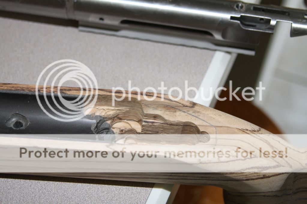 IMG_1648.jpg