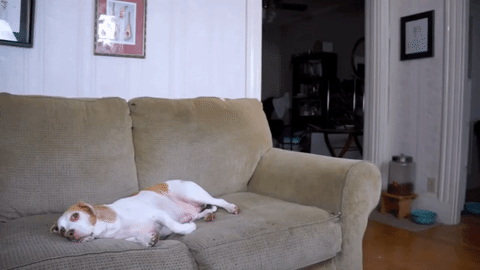 tumblr_pzj9t5gnKs1sjtiolo3_500.gif